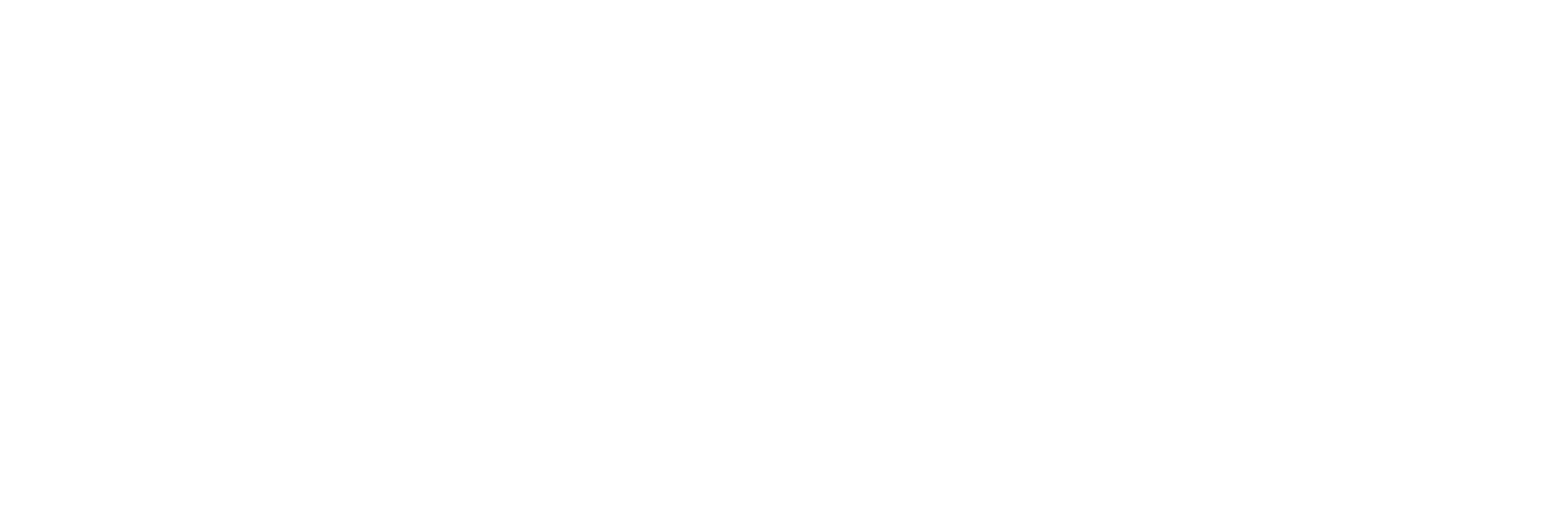 New Insight Consulting Logo