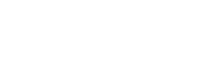 Datafest new logo (white)